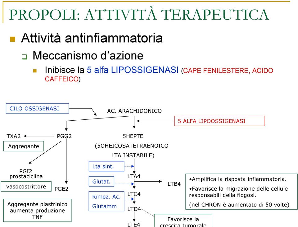 ARACHIDONICO 5 ALFA LIPOOSSIGENASI TXA2 Aggregante PGG2 5HEPTE (5OHEICOSATETRAENOICO LTA INSTABILE) PGI2 prostaciclina vasocostrittore PGE2