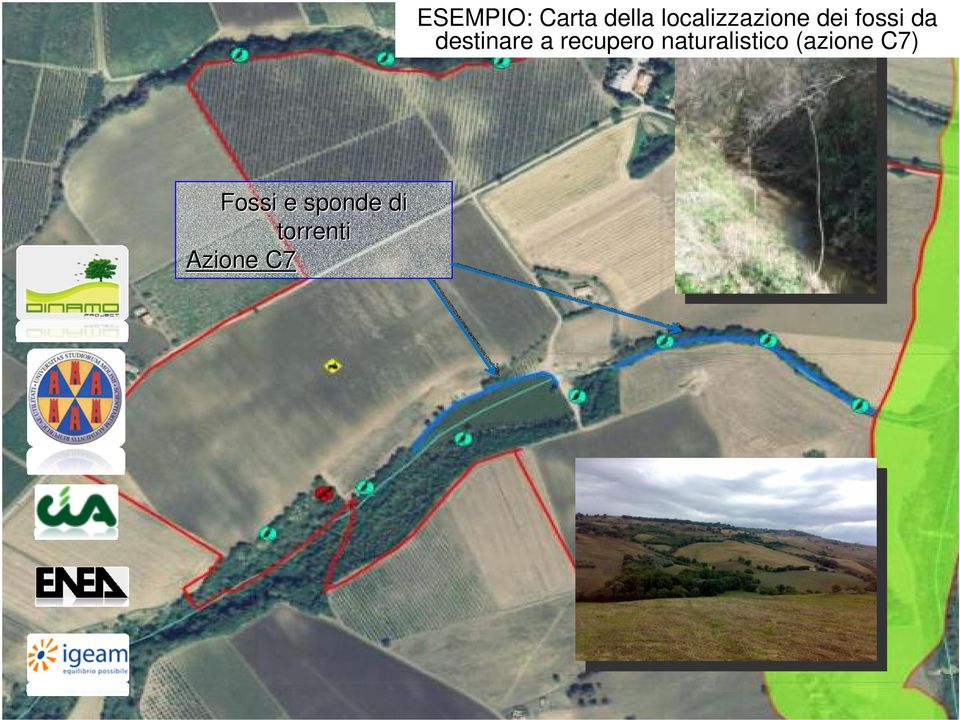 VEDERE DELLE AZIENDE ESEMPLIFICATIVE PER OGNI AZIONE Nidi artificiali di