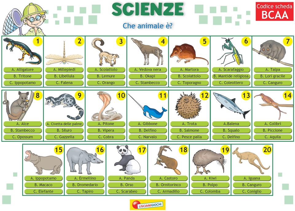 Trota A.Balena A. Colibrì B. Stambecco B. Siluro B. Vipera B. Delfino B. Salmone B. Squalo B. Piccione C. Opossum C. Gazzella C. Cobra C. Narvalo C. Pesce palla C. Delfino C.