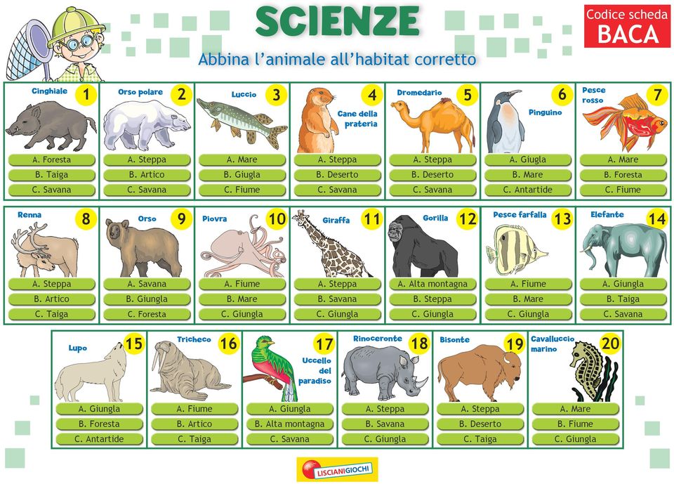 Fiume Renna 0 3 4 Orso Piovra Giraffa Gorilla Pesce farfalla Elefante A. Savana A. Alta montagna A. Giungla B. Artico B. Giungla B. Mare B. Savana B. Steppa B. Mare B. Taiga C.