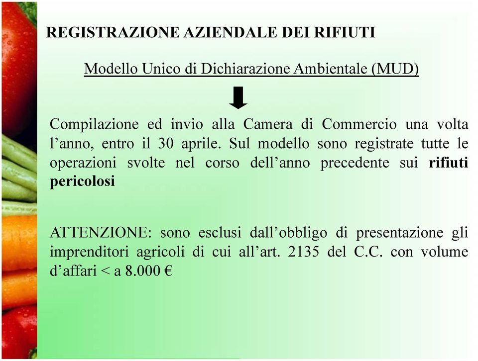 Sul modello sono registrate tutte le operazioni svolte nel corso dell anno precedente sui rifiuti