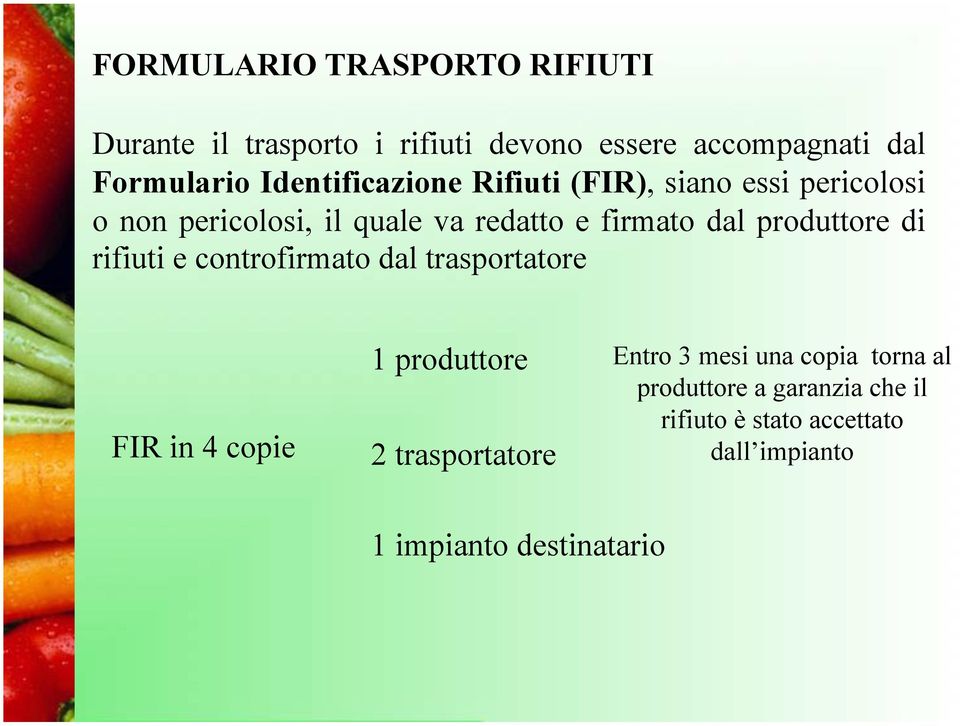 produttore di rifiuti e controfirmato dal trasportatore FIR in 4 copie 1 produttore 2 trasportatore Entro 3