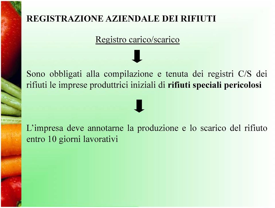 imprese produttrici iniziali di rifiuti speciali pericolosi L impresa