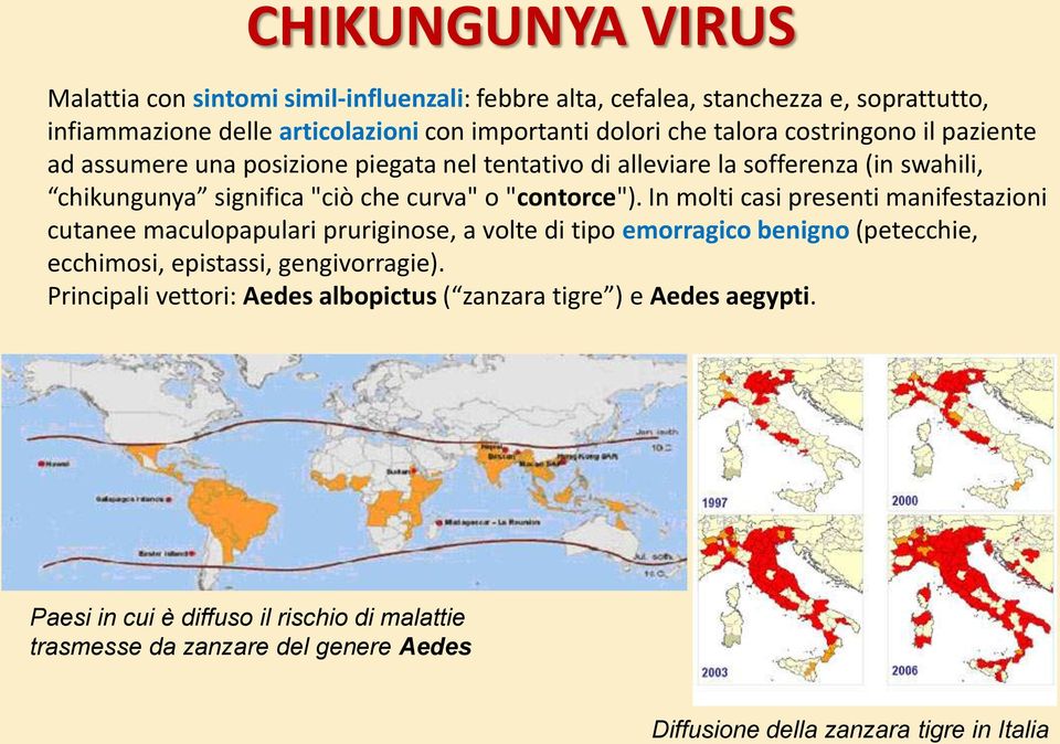 In molti casi presenti manifestazioni cutanee maculopapulari pruriginose, a volte di tipo emorragico benigno (petecchie, ecchimosi, epistassi, gengivorragie).