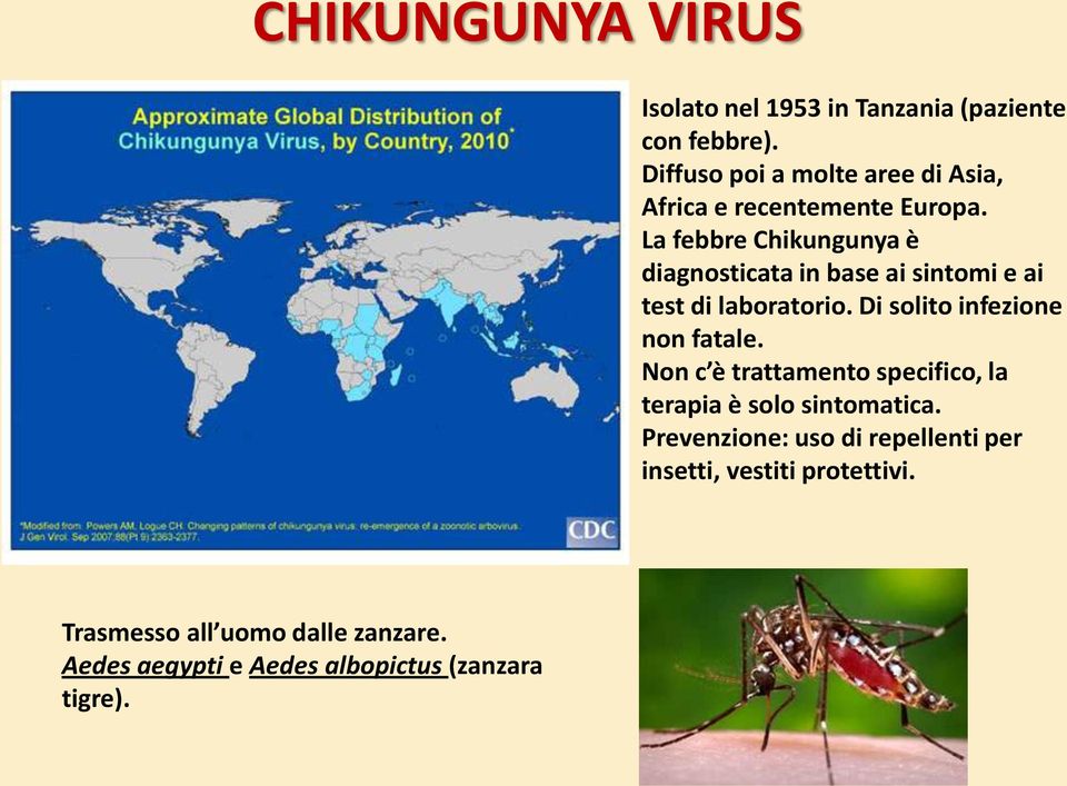 La febbre Chikungunya è diagnosticata in base ai sintomi e ai test di laboratorio. Di solito infezione non fatale.