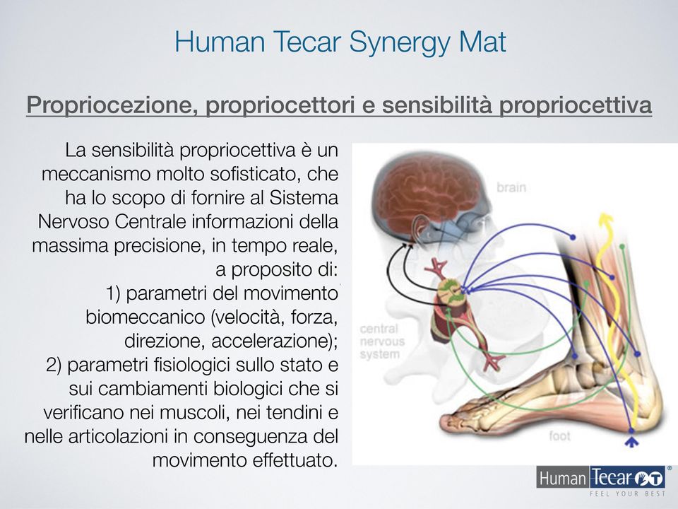 della massima precisione, in tempo reale, a proposito di: 1) parametri del movimento biomeccanico (velocità, forza, direzione,