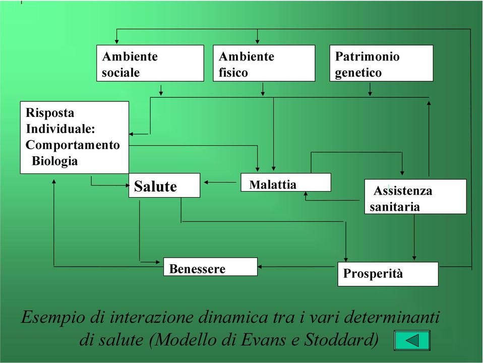 sanitaria Benessere Prosperità Esempio di interazione dinamica