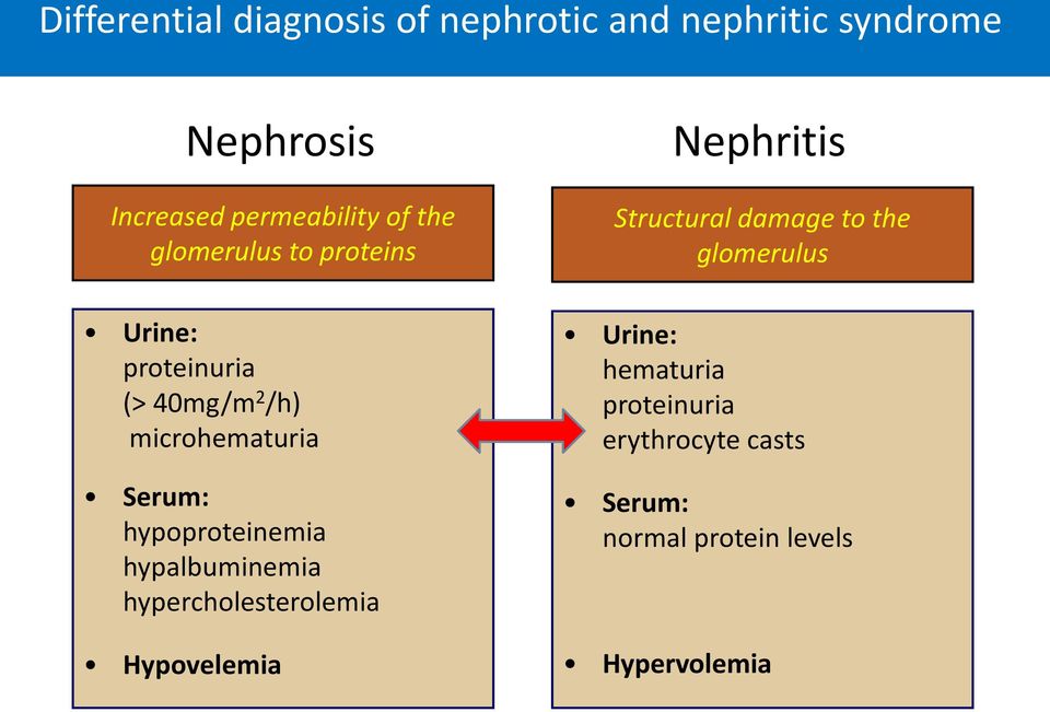 hypoproteinemia hypalbuminemia hypercholesterolemia Hypovelemia Nephritis Structural damage to