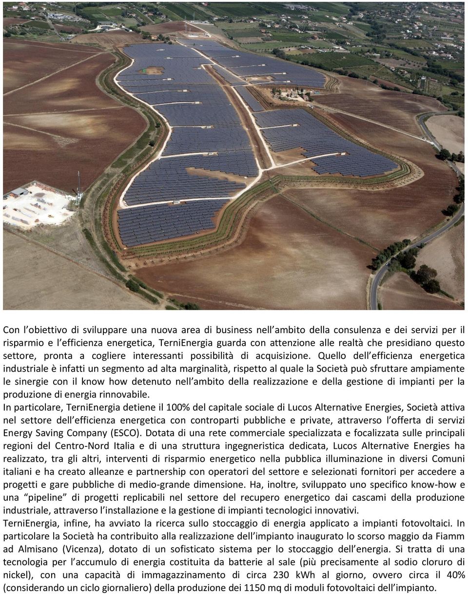 Quello dell efficienza energetica industriale è infatti un segmento ad alta marginalità, rispetto al quale la Società può sfruttare ampiamente le sinergie con il know how detenuto nell ambito della