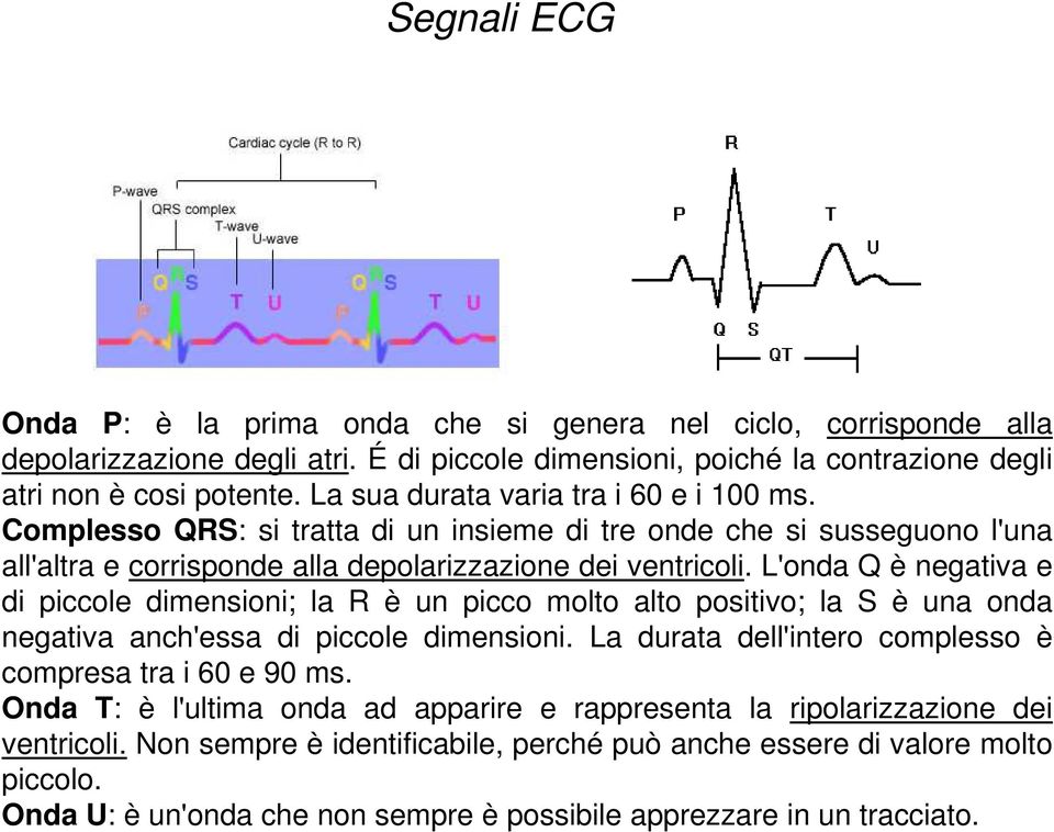 L'onda Q è negativa e di piccole dimensioni; la R è un picco molto alto positivo; la S è una onda negativa anch'essa di piccole dimensioni. La durata dell'intero complesso è compresa tra i 60 e 90 ms.