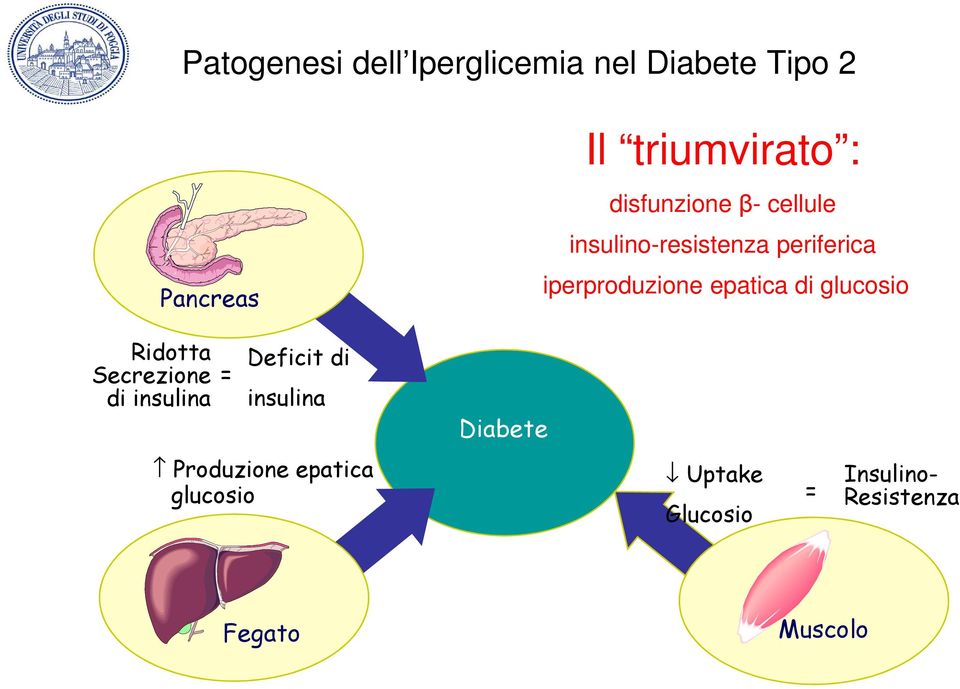 di glucosio Ridotta Secrezione di insulina = Deficit di insulina Diabete