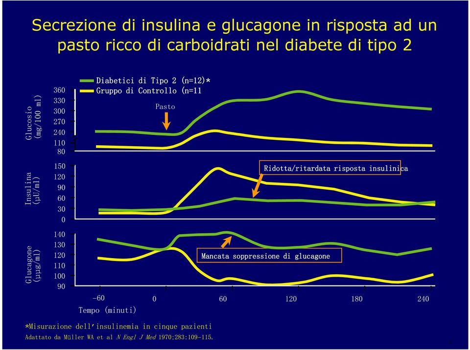 2 (n=12)* Gruppo di Controllo (n=11) Pasto Ridotta/ritardata risposta insulinica Mancata soppressione di glucagone 60 0 60 120