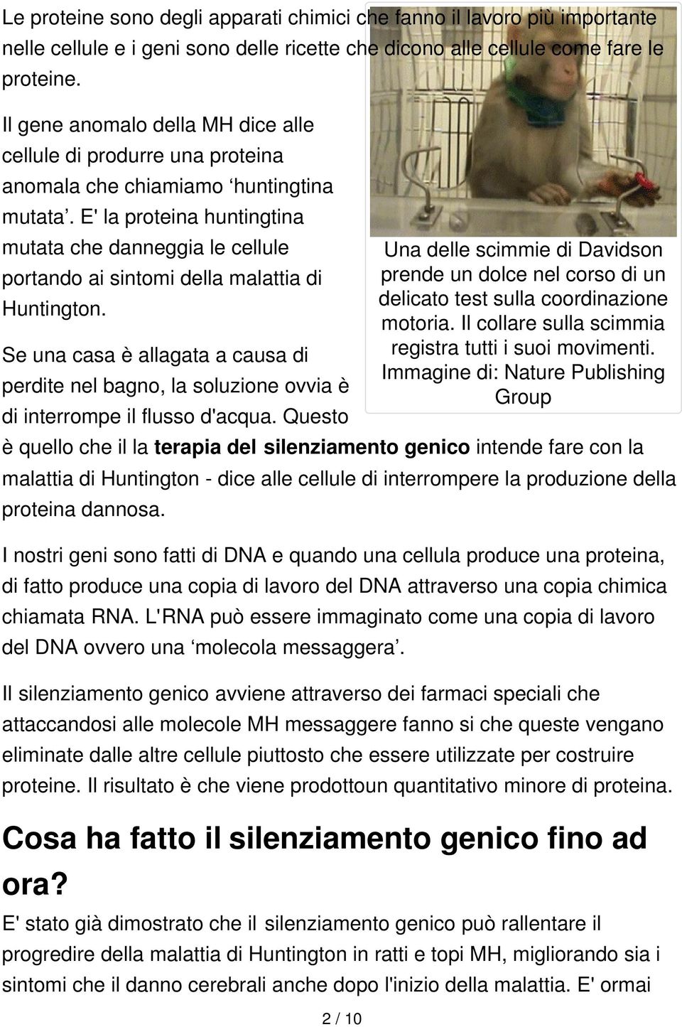 E' la proteina huntingtina mutata che danneggia le cellule portando ai sintomi della malattia di Huntington.