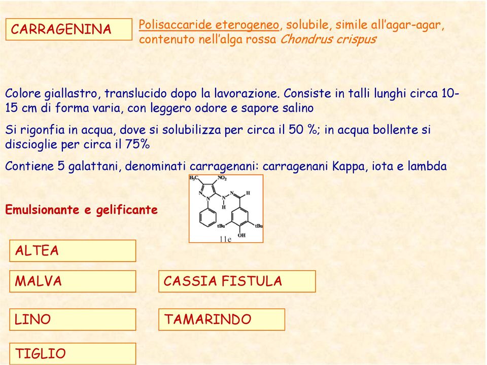 Consiste in talli lunghi circa 10-15 cm di forma varia, con leggero odore e sapore salino Si rigonfia in acqua, dove si