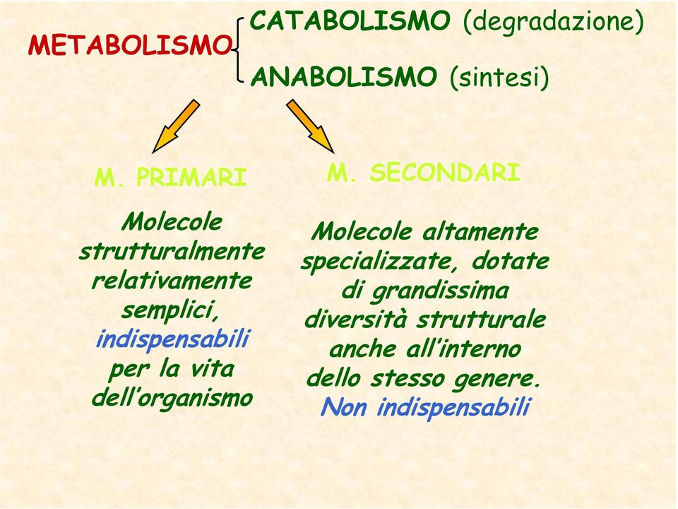 la vita dell organismo M.