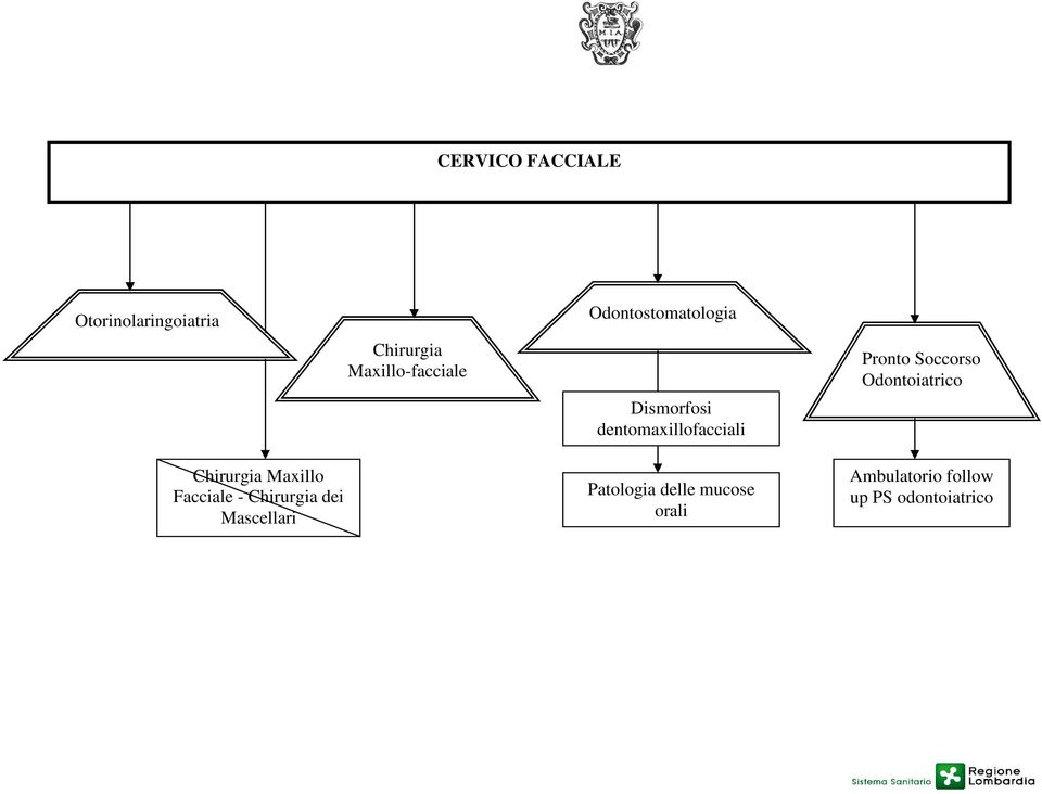 Odontoiatrico Chirurgia Maxillo Facciale - Chirurgia dei