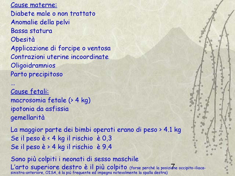 operati erano di peso > 4.