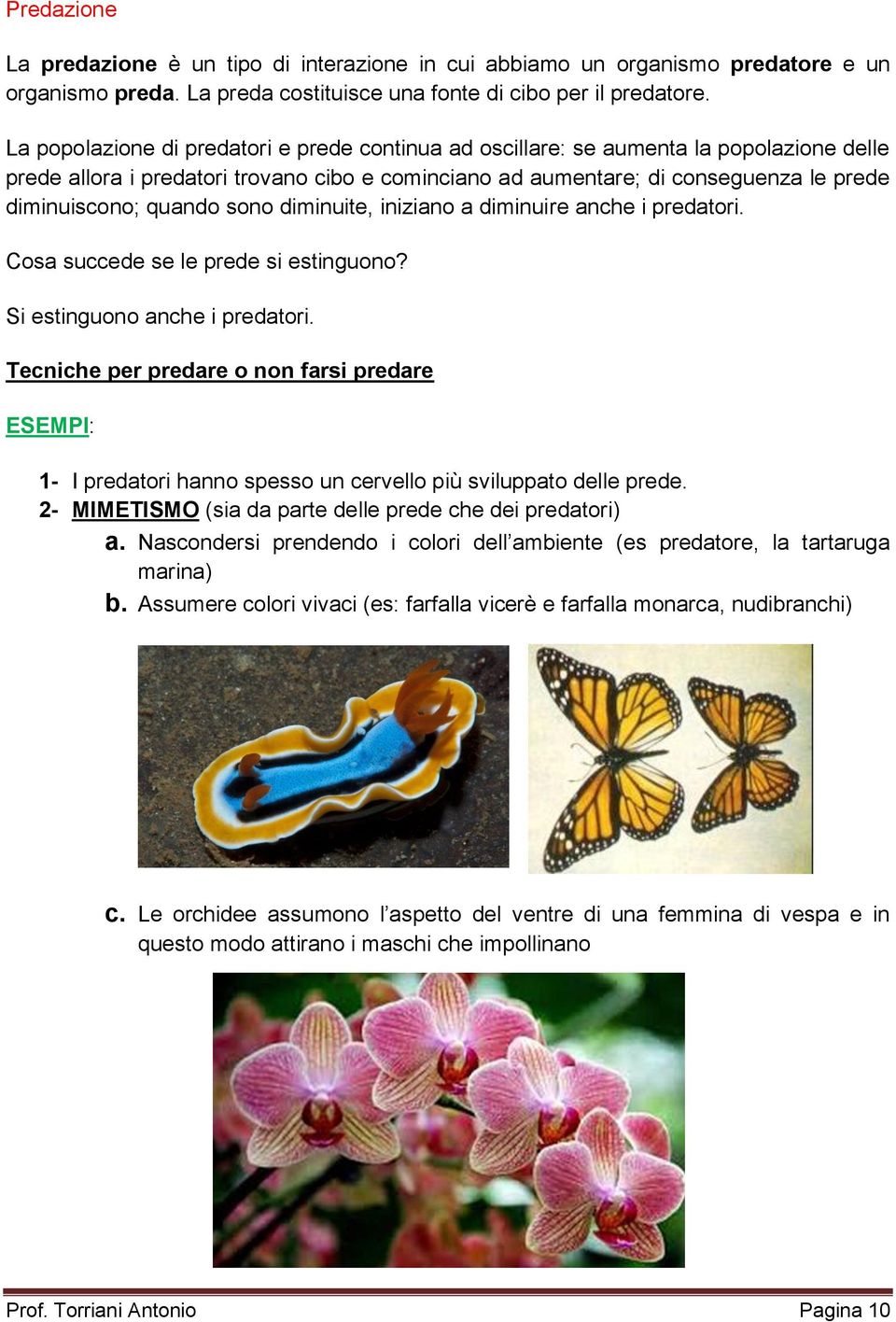 quando sono diminuite, iniziano a diminuire anche i predatori. Cosa succede se le prede si estinguono? Si estinguono anche i predatori.