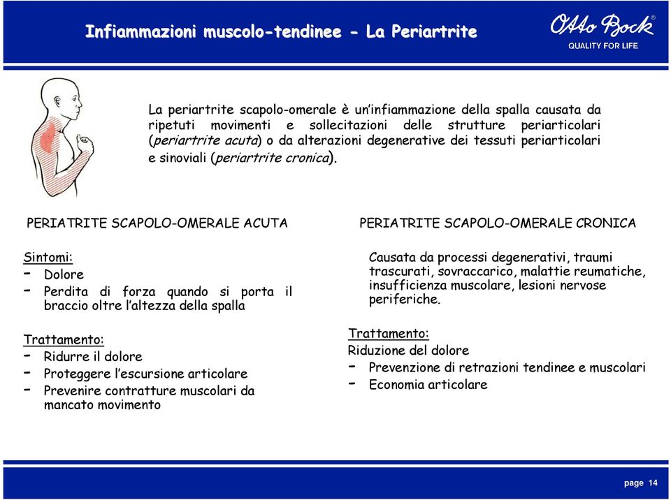 PERIATRITE SCAPOLO-OMERALE ACUTA Sintomi: - Dolore - Perdita di forza quando si porta il braccio oltre l altezza della spalla Trattamento: - Ridurre il dolore - Proteggere l escursione articolare -