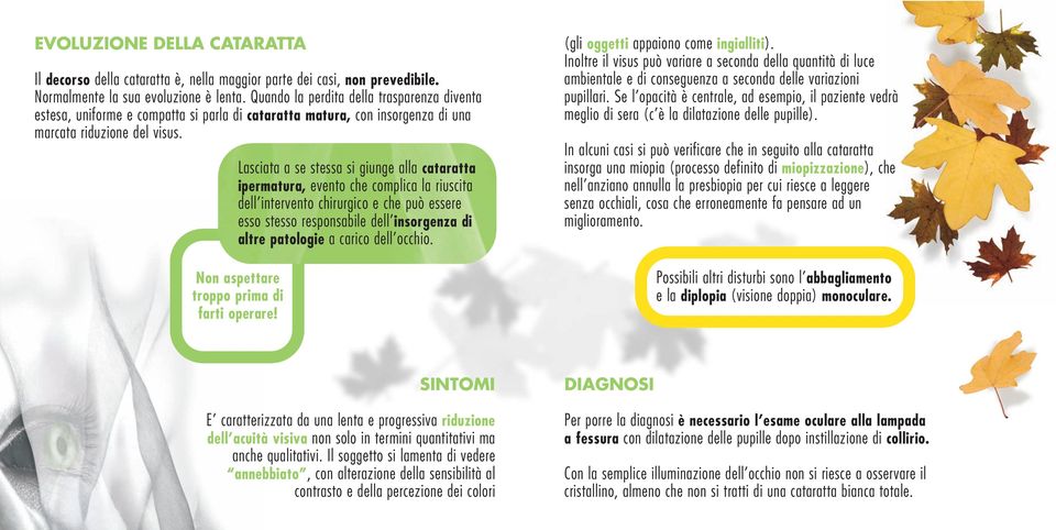 Lasciata a se stessa si giunge alla cataratta ipermatura, evento che complica la riuscita dell intervento chirurgico e che può essere esso stesso responsabile dell insorgenza di altre patologie a