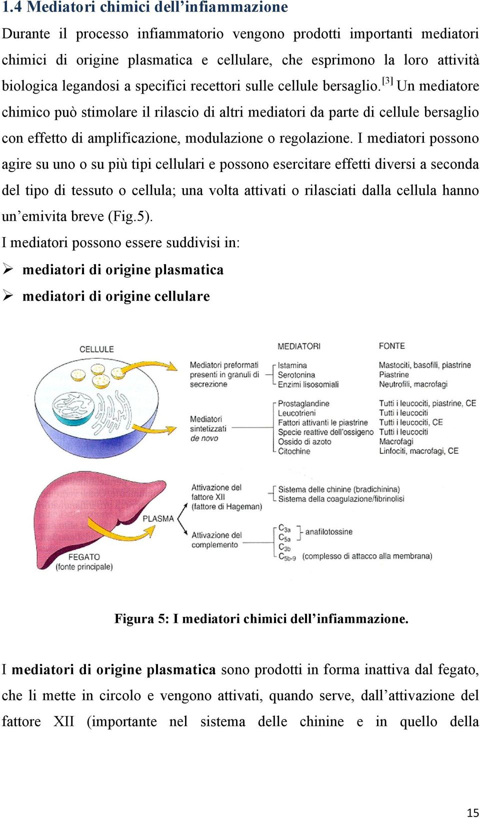 [3] Un mediatore chimico può stimolare il rilascio di altri mediatori da parte di cellule bersaglio con effetto di amplificazione, modulazione o regolazione.