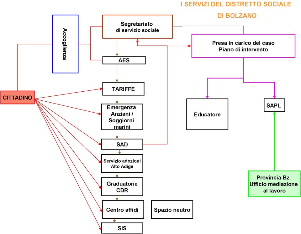 Emergenza Anziani / Soggiorni marini Educatore SAPL SAD Servizio adozioni Alto