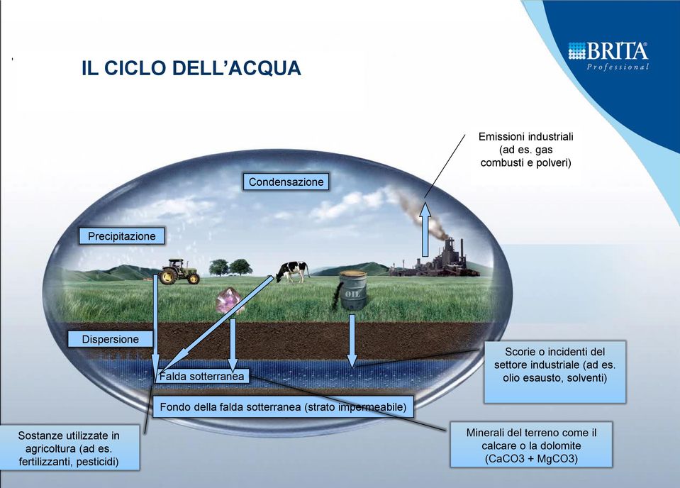 settore industriale (ad es. olio esausto, solventi) Sostanze utilizzate in agricoltura (ad es.