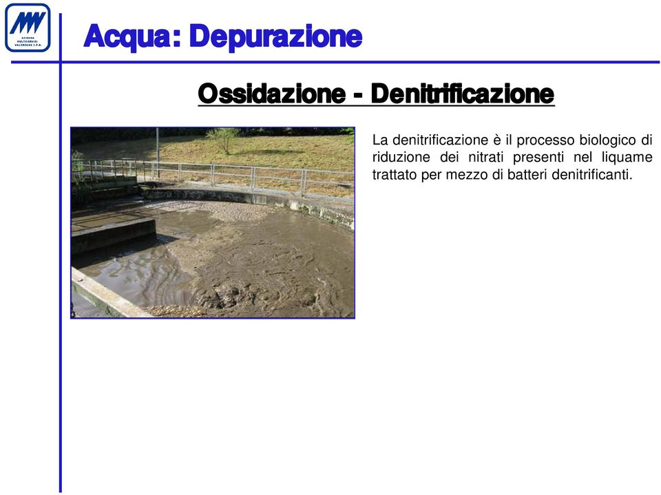 processo biologico di riduzione dei nitrati