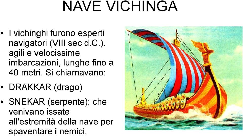 agili e velocissime imbarcazioni, lunghe fino a 40 metri.