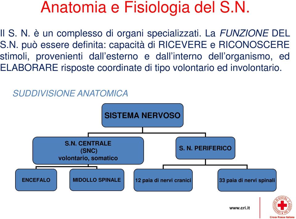 è un complesso di organi specializzati. La FUNZ