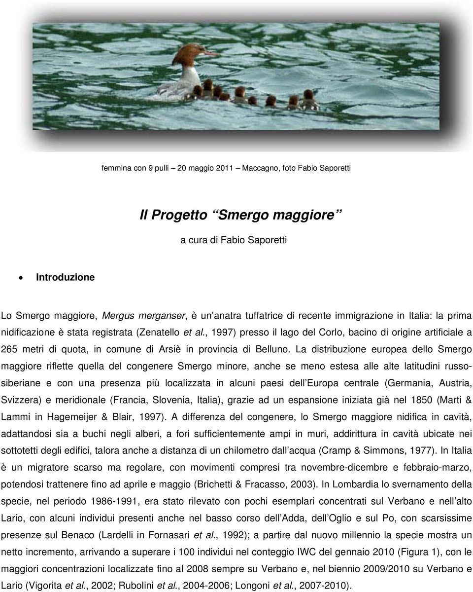 , 1997) presso il lago del Corlo, bacino di origine artificiale a 265 metri di quota, in comune di Arsiè in provincia di Belluno.