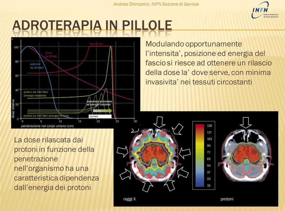 invasivita nei tessuti circostanti La dose rilascata dai protoni in funzione della