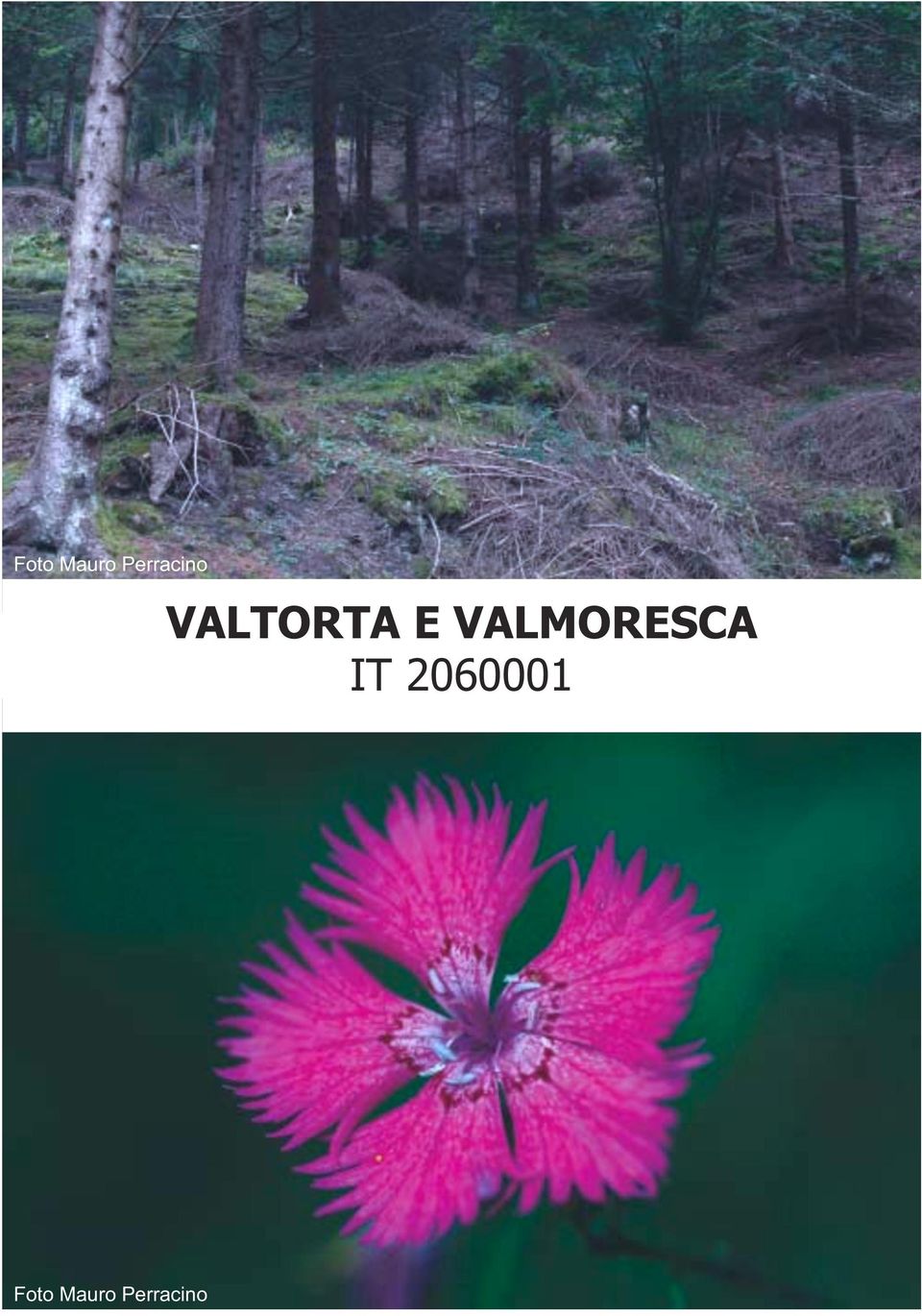 E VALMORESCA IT