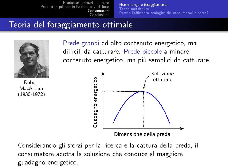 Prede piccole a minore contenuto energetico, ma più semplici da catturare.