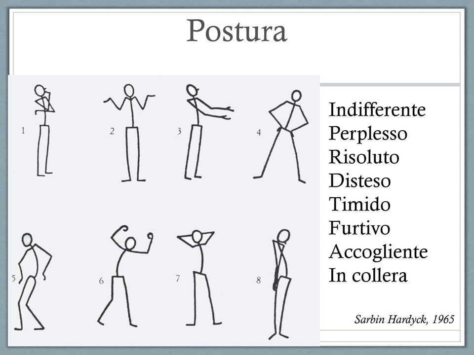 Timido Furtivo Accogliente