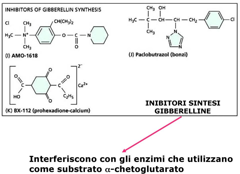 Interferiscono con gli