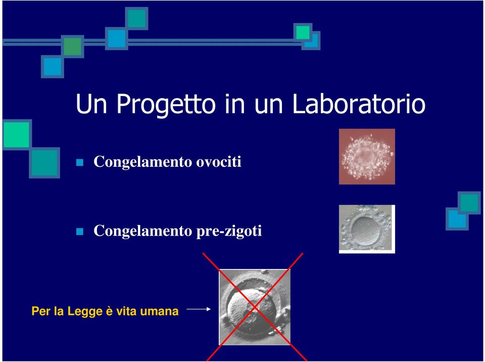 ovociti Congelamento