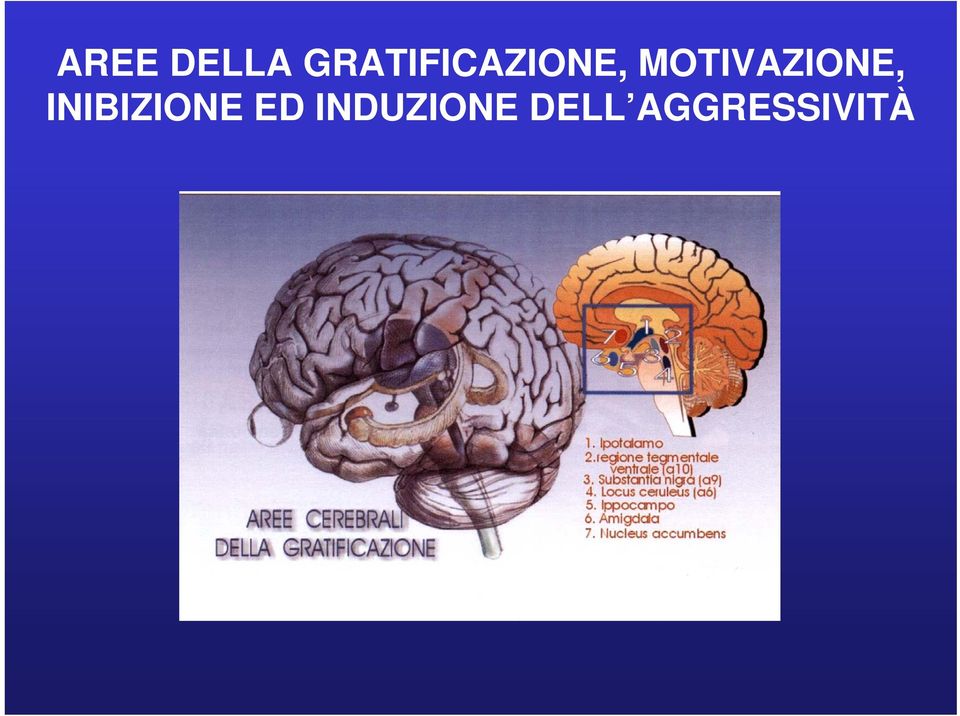 MOTIVAZIONE,