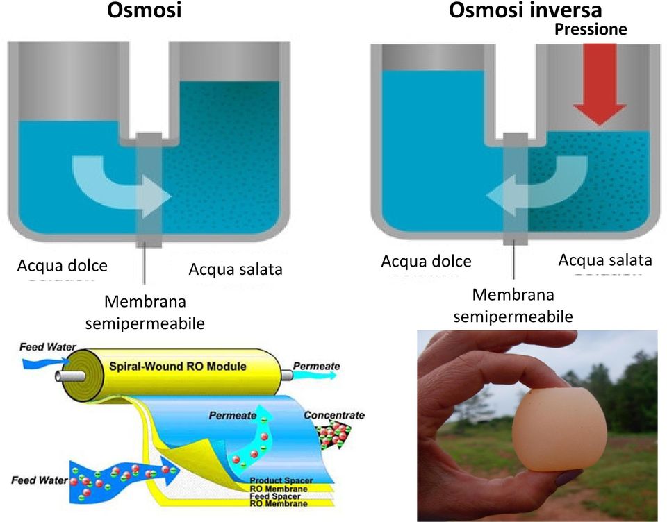 semipermeabile Acqua salata 