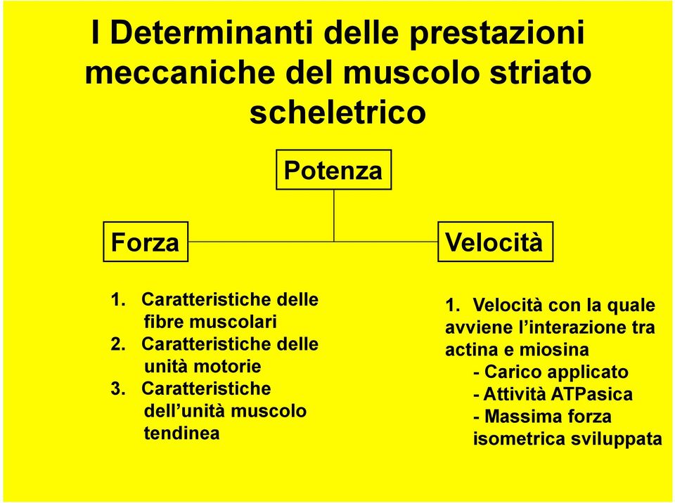 Caratteristiche dell unità muscolo tendinea 1.