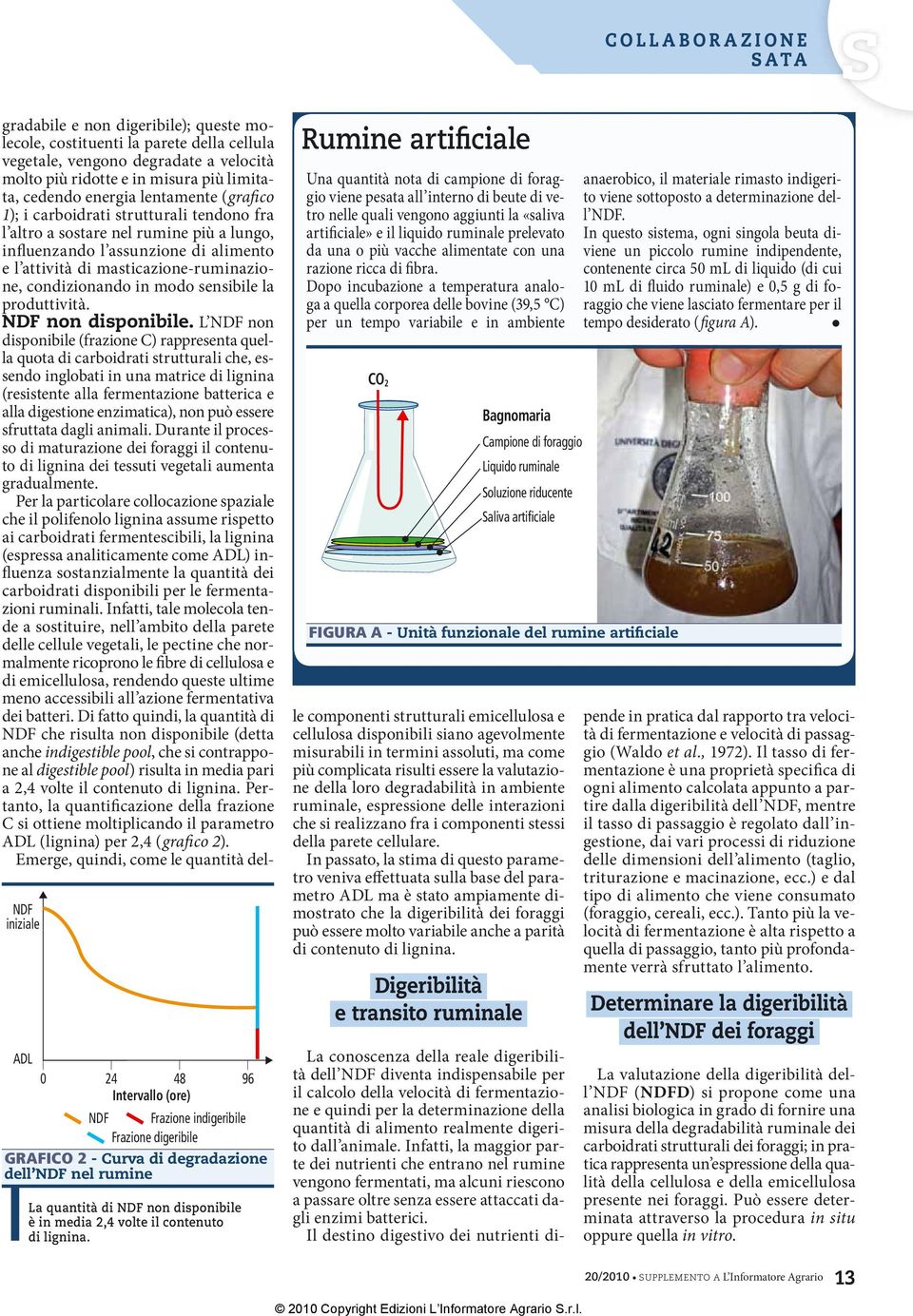 Rumine artificiale Una quantità nota di campione di foraggio viene pesata all interno di beute di vetro nelle quali vengono aggiunti la «saliva artificiale» e il liquido ruminale prelevato da una o