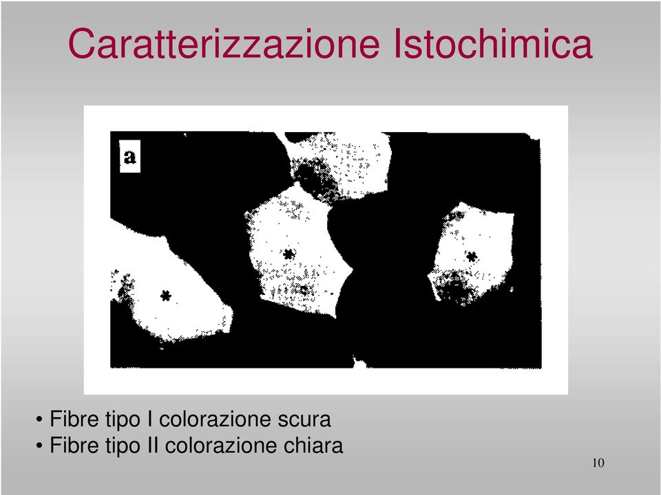 I colorazione scura