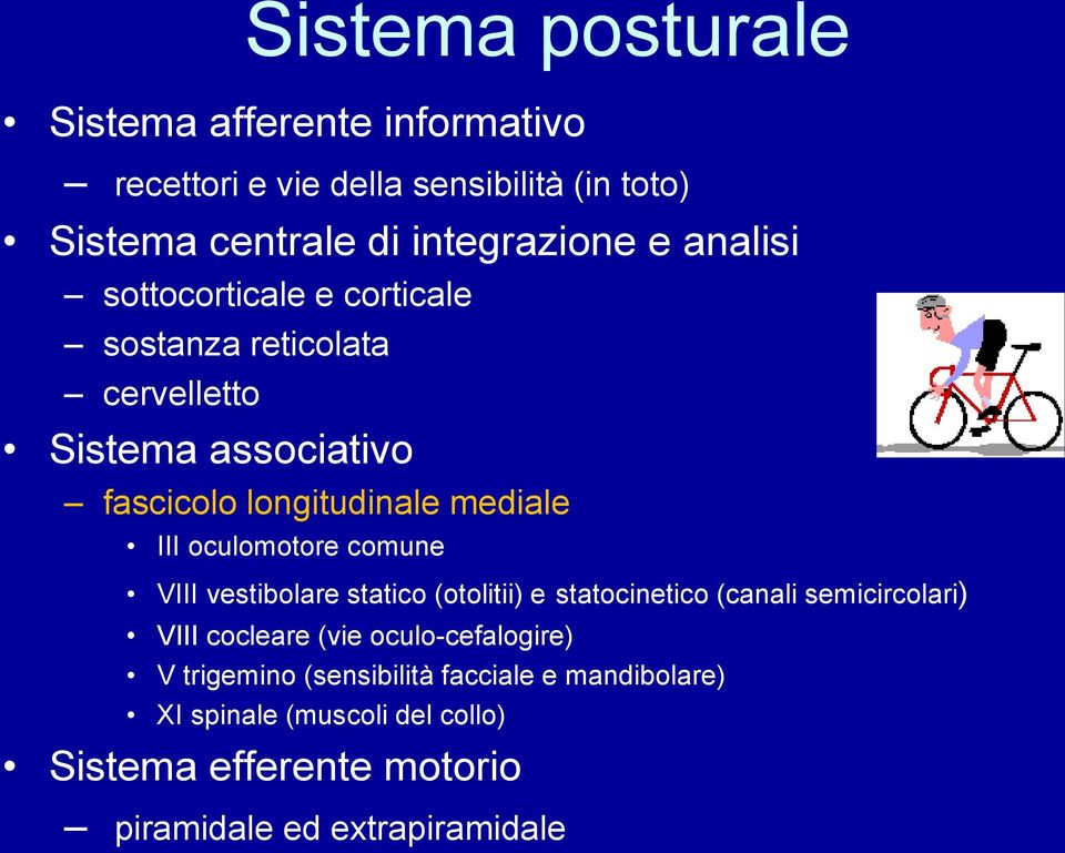 oculomotore comune VIII vestibolare statico (otolitii) e statocinetico (canali semicircolari) VIII cocleare (vie