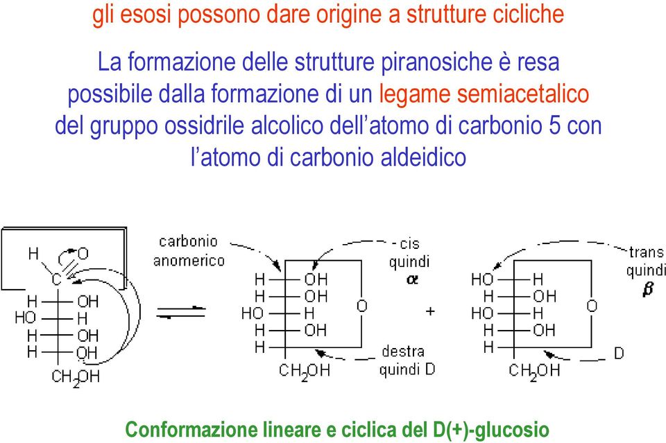 semiacetalico del gruppo ossidrile alcolico dell atomo di carbonio 5 con