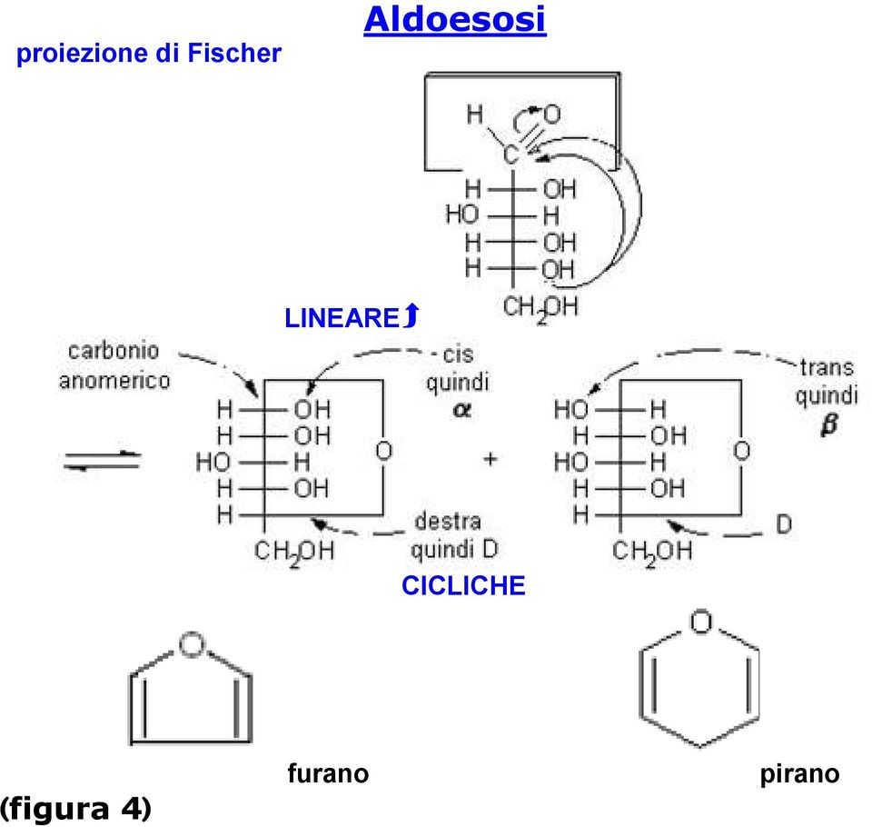 LINEARE CICLICHE