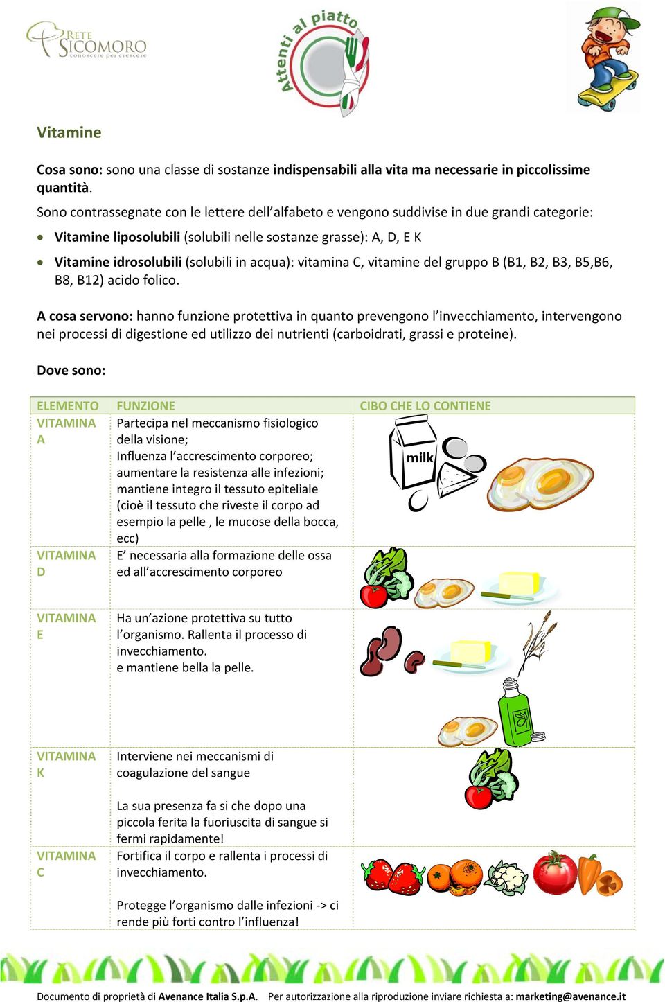 acqua): vitamina C, vitamine del gruppo B (B1, B2, B3, B5,B6, B8, B12) acido folico.