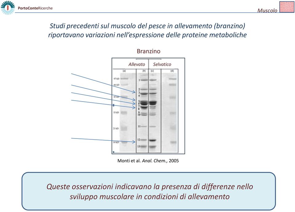 Allevato Selvatico Monti et al. Anal. Chem.