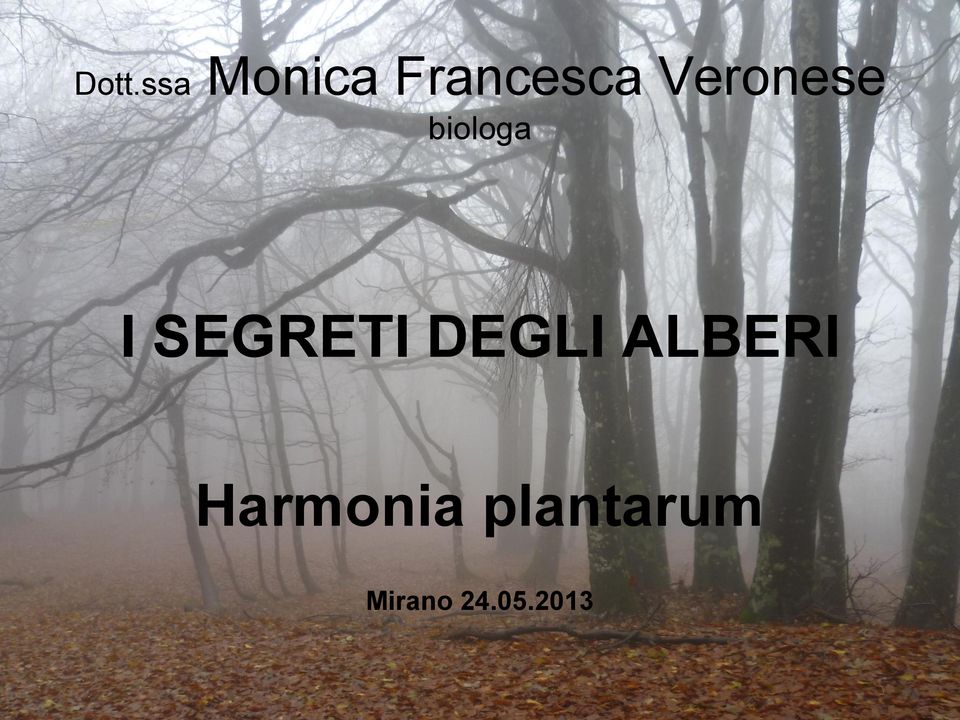 SEGRETI DEGLI ALBERI