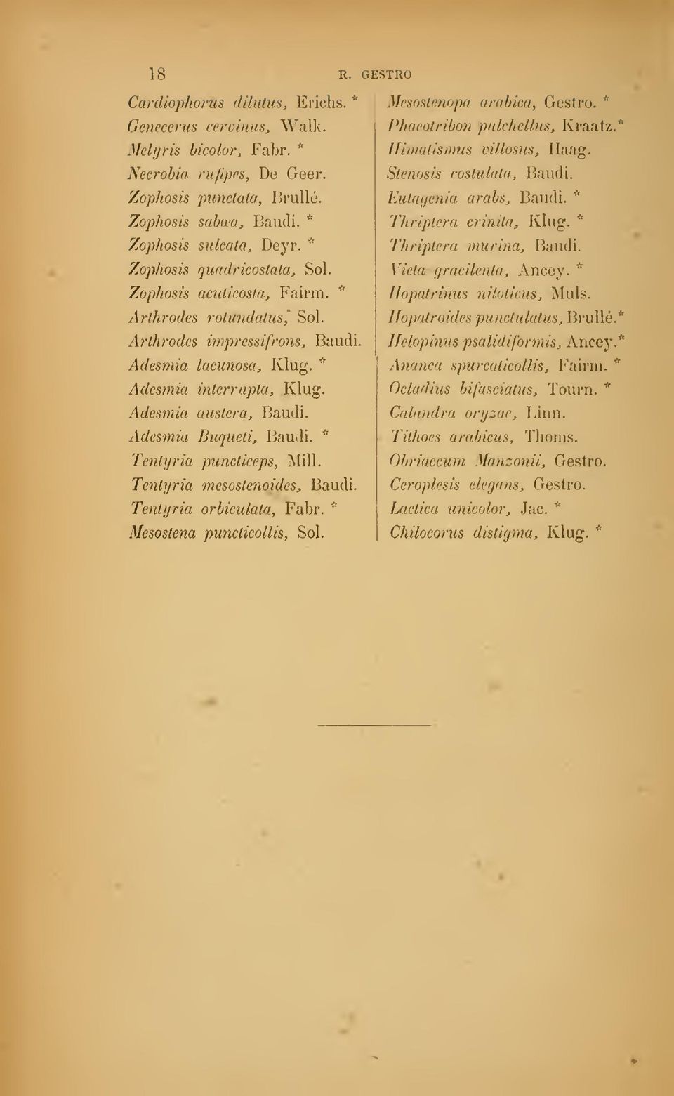 Adesmia austera, Baudi. Adesmia Buquetij Baudi. * Tentyria puncticeps, WW. Tentyria mesostenoides, Baudi. Tentyria orbiculata, Fabr. " Mesostena puncticollis, Sol. GESTRO arabica, Gestro.