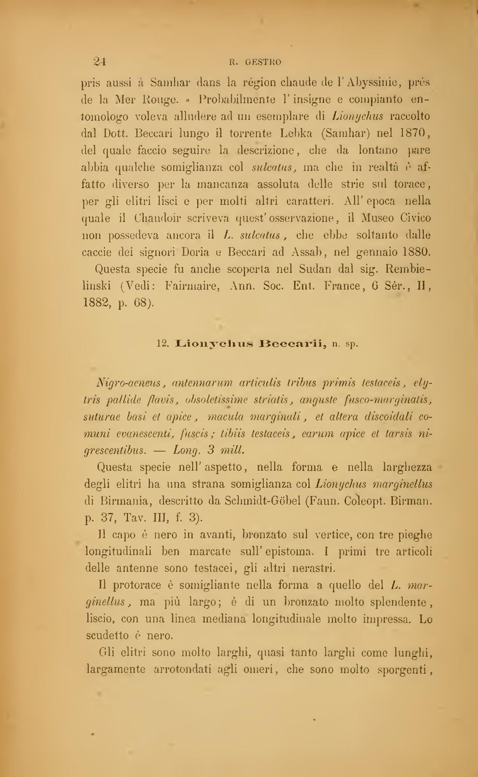 Beccari lungo il torrente Lebka (Samhar) nel 1870, del quale faccio seguire la descrizione, che da lontano pare abbia qualche somiglianza col sukatus, ma che in realtà (' affatto diverso per la